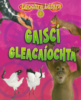 Gaiscí Gleacaíochta (Sraith Laochra Lúfara)