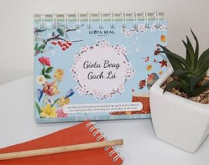 Féilire Giota Beag Gaeilge Gach Lá- A Little Bit of Irish Each Day (i mbocsa)