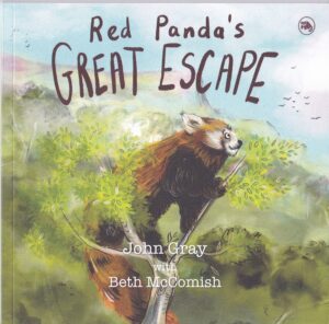 Red Panda's Great Escape