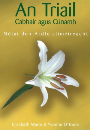 An Triail Cabhair agus Cúnamh
