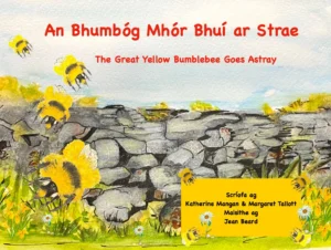 An Bhumbóg Mhór Bhuí ar Strae