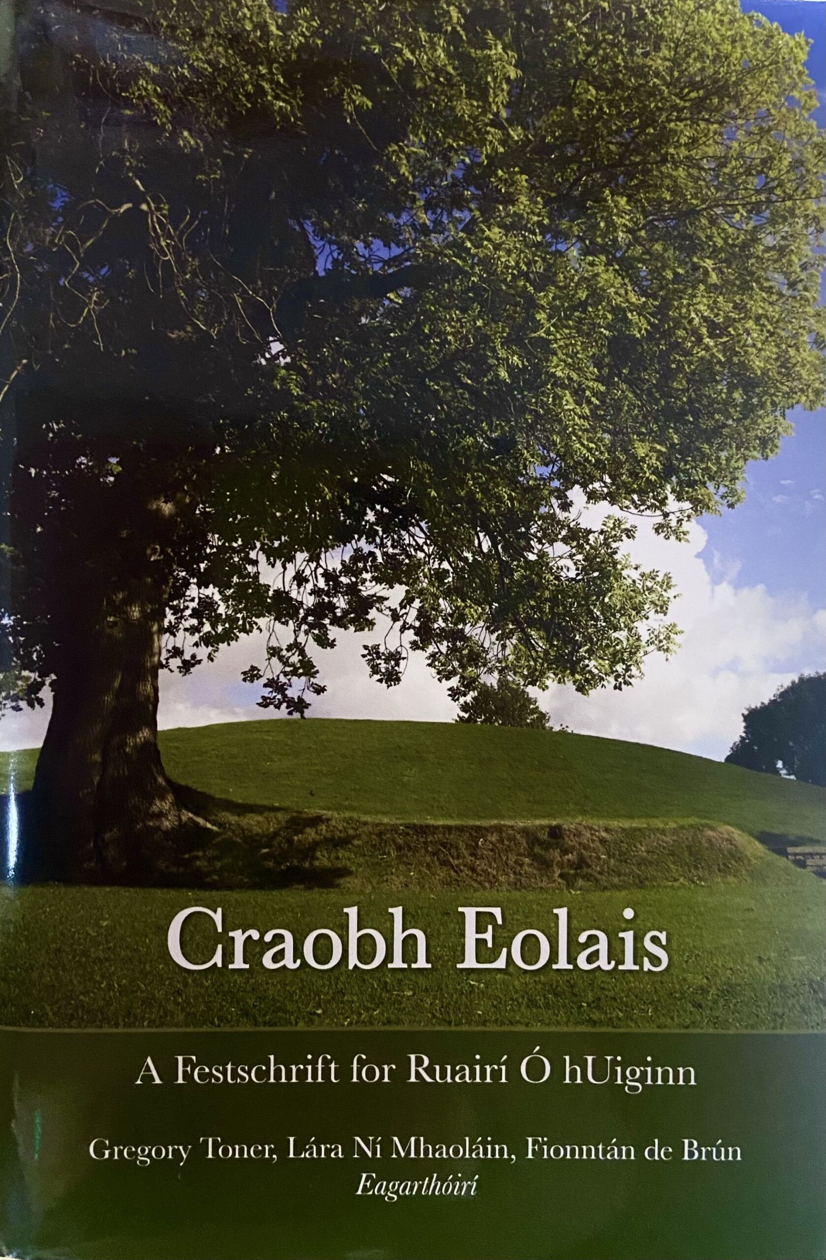 Craobh Eolais A Festschrift for Ruairí Ó hUiginn