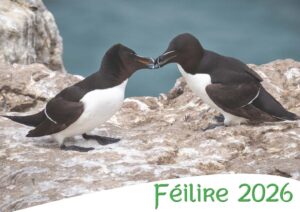 Féilire 2026